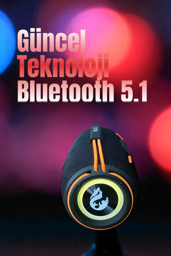 BS-313 Bluetooth Hoparlör 20W 5 Renk - Görsel 8